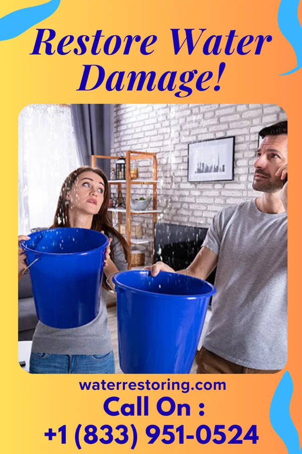 water restoration Liberty Water Removal Masters Manchester